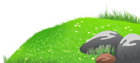 Grass with Stones and Daisies PNG Clipart Picture | Gallery